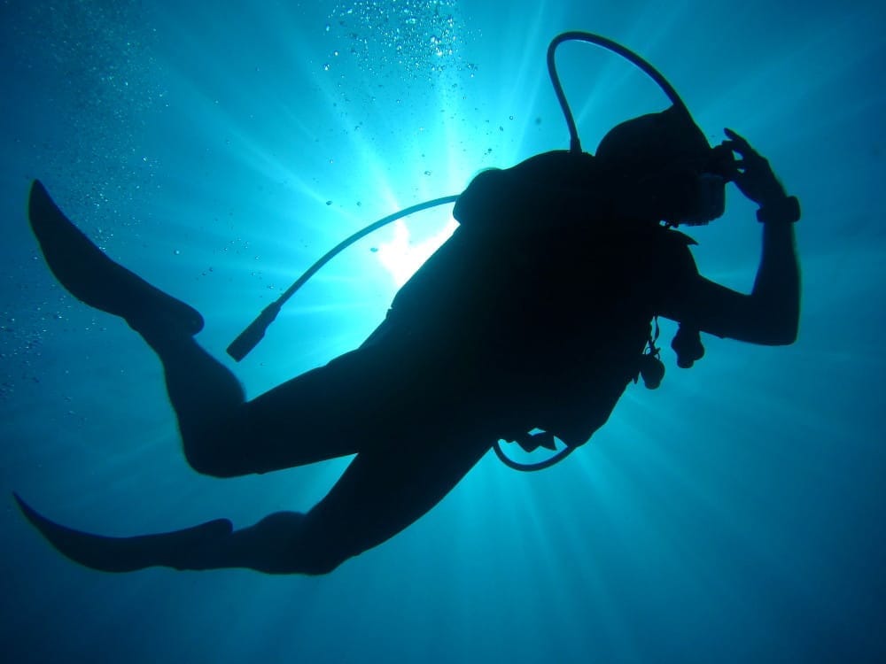 A diver in silhouette against sunlight beneath the surface